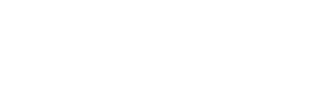 A2X