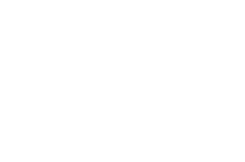 The classic CA monogram in white